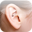 Conch